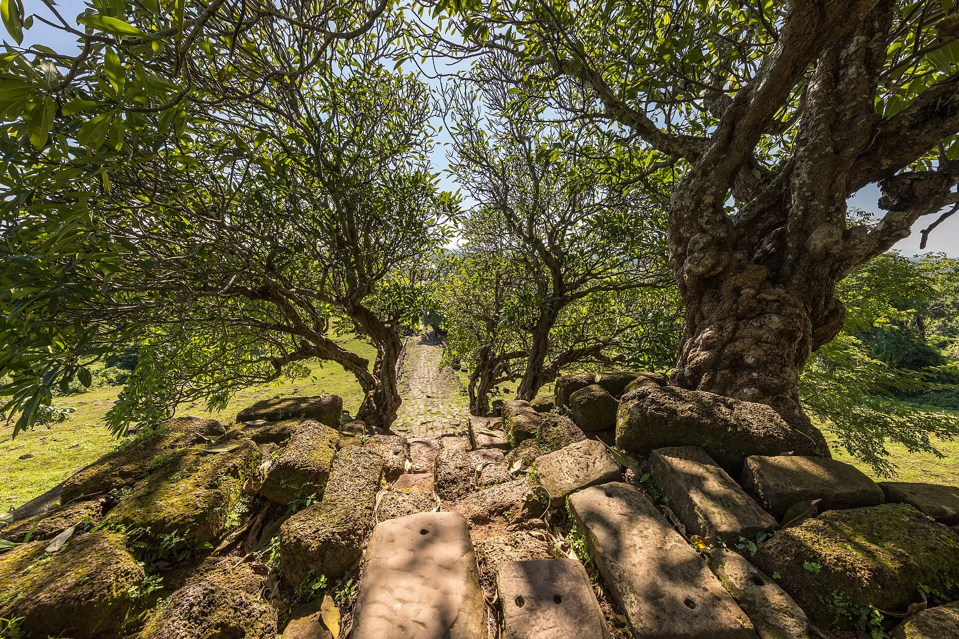 Wat Phou : le joyau khmer du Mékong